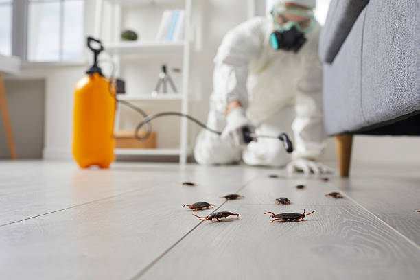 Post-Treatment Bed Bug Interceptor Monitoring in Prairie City