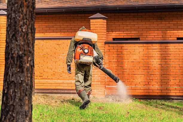 Bed Bug Clearance Verification and Documentation in Prairie City